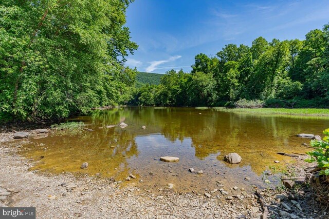 water view with a heavily wooded area