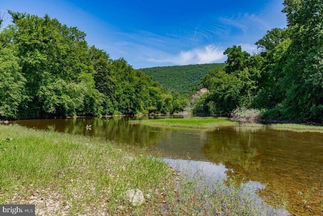 water view with a forest