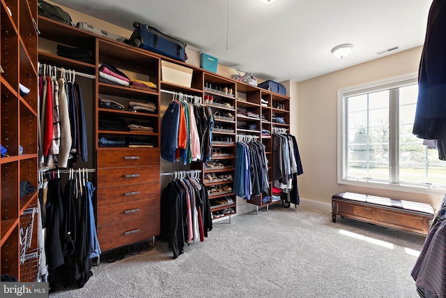 107 Centrenest Ln, Wilmington, DE 19807 - spacious closet with carpet flooring and visible vents