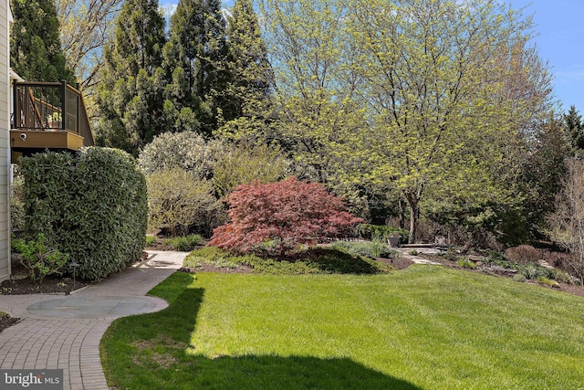 107 Centrenest Ln, Wilmington, DE 19807 - view of yard with a balcony