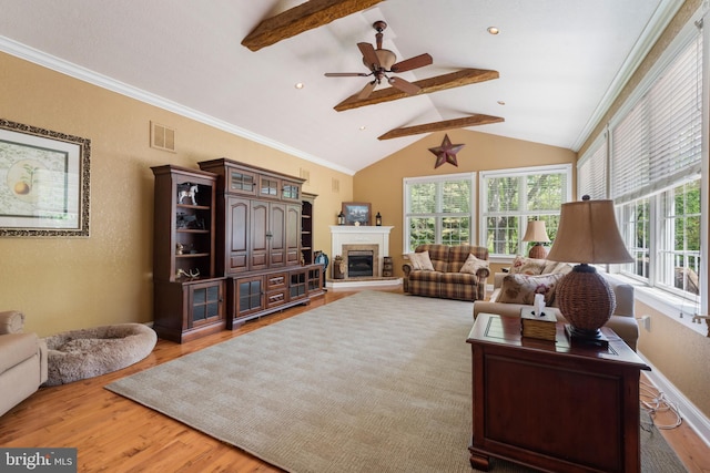 832 Muller Rd, Westminster, MD 21157 - living room with ceiling fan, wood finished floors, and a glass covered fireplace