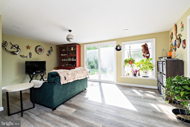living area featuring wood finished floors and baseboards