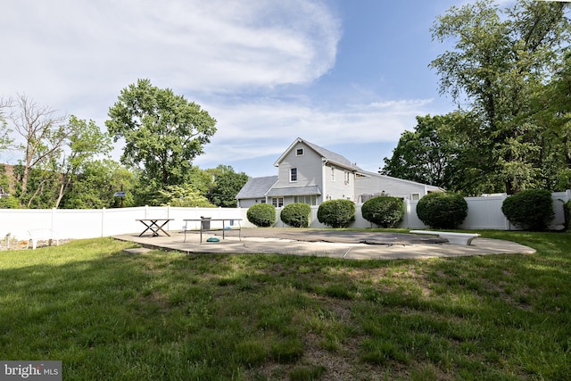 view of yard featuring a patio area