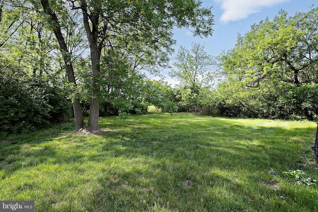 view of green lawn