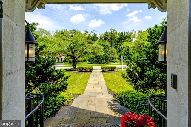 view of yard