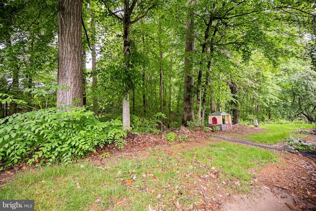 view of yard with an outbuilding, a shed, and a wooded view