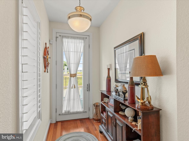 13000 Marina View Ln Unit 25, Ocean City, MD 21842 - doorway to outside with light wood-style floors