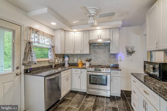 3515 19th St S, Arlington, VA 22204 - kitchen featuring stainless steel appliances, under cabinet range hood, a sink, a ceiling fan, and dark stone counters