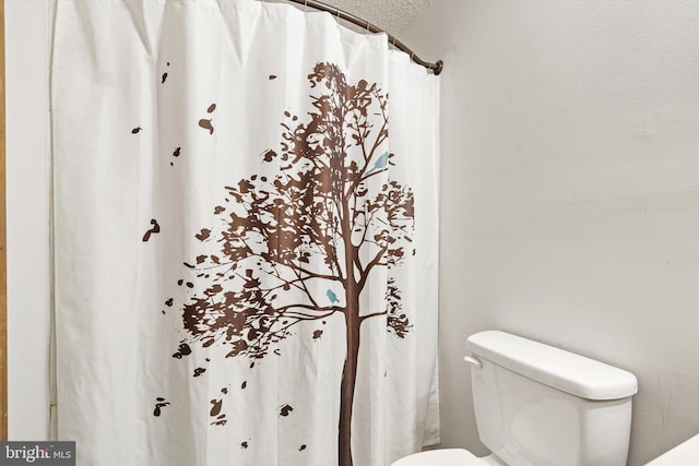 2 Bunting Bridge Rd, Cookstown, NJ 08511 - full bath featuring toilet and a shower with shower curtain