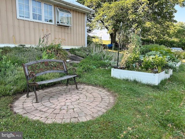 view of yard with a patio and a garden
