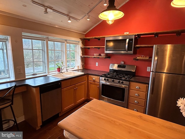 kitchen featuring a sink, track lighting, dark wood finished floors, vaulted ceiling, and appliances with stainless steel finishes