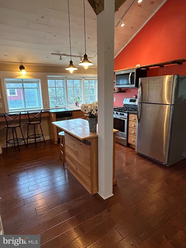 kitchen with a ceiling fan, dark wood-type flooring, rail lighting, vaulted ceiling, and appliances with stainless steel finishes