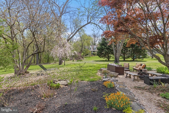 view of yard with an outdoor hangout area