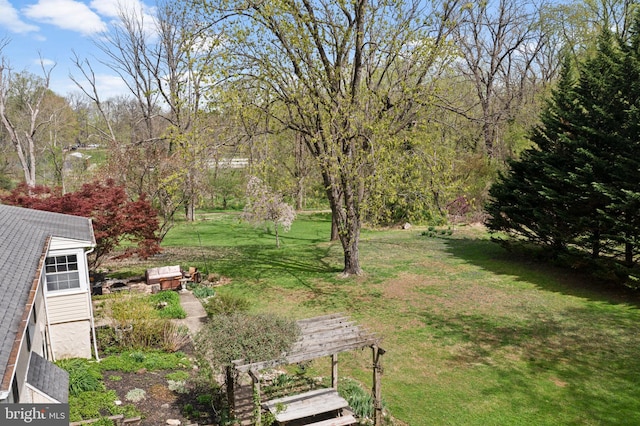 view of yard