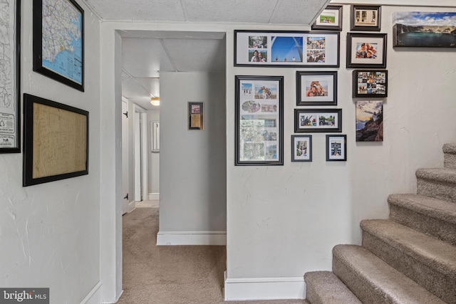 hallway featuring carpet flooring, a paneled ceiling, baseboards, and stairs