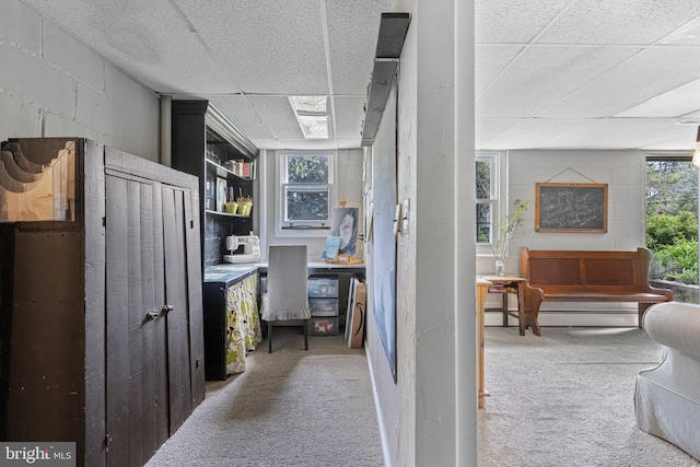 corridor featuring carpet flooring, a drop ceiling, concrete block wall, and a baseboard heating unit