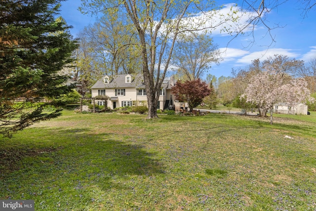 view of yard