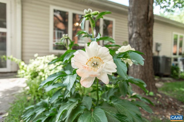 exterior details with cooling unit