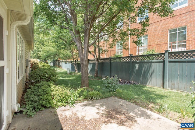 view of yard featuring a patio and a fenced backyard