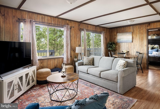 849 Sundance Mountain Rd, New Market, VA 22844
