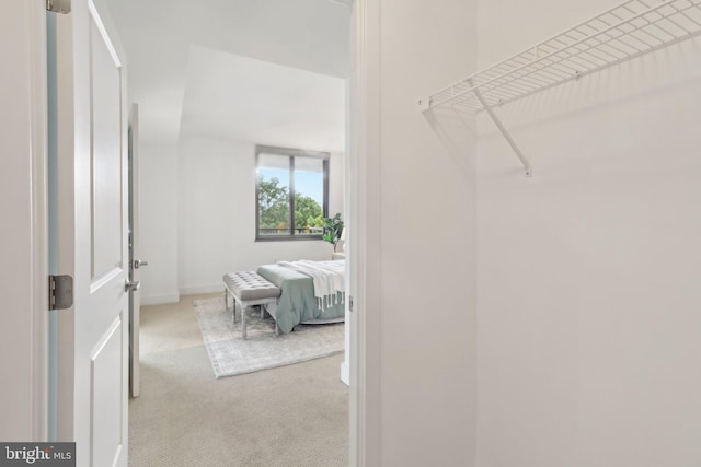 2001 15th St N Unit 207, Arlington, VA 22201 - spacious closet featuring carpet flooring