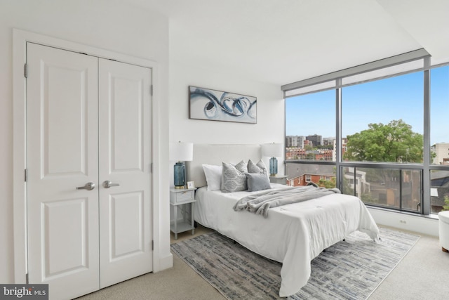 2001 15th St N Unit 207, Arlington, VA 22201 - carpeted bedroom with floor to ceiling windows, a closet, and multiple windows