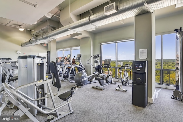 2001 15th St N Unit 207, Arlington, VA 22201 - exercise room featuring a baseboard radiator, carpet, and visible vents
