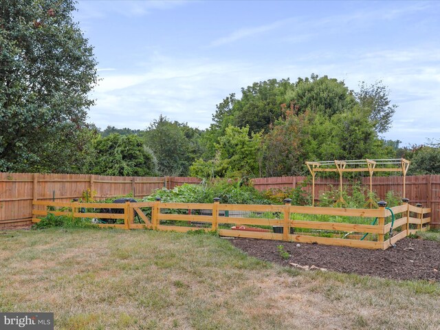 view of yard with a garden
