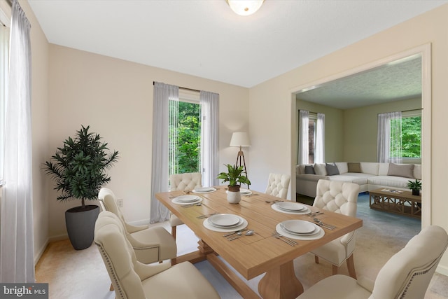112 Old Forest Cir, Winchester, VA 22602 - carpeted dining space featuring plenty of natural light and baseboards