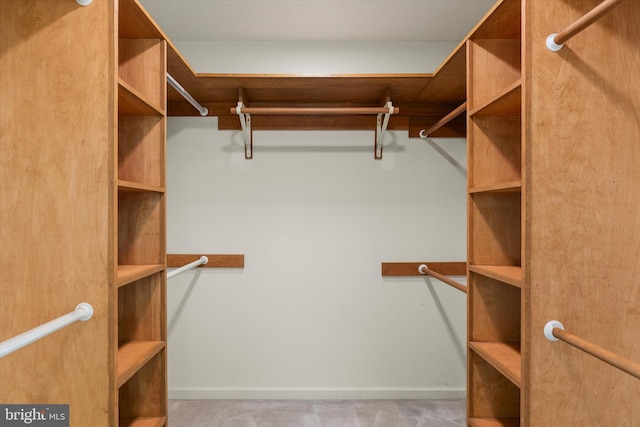 112 Old Forest Cir, Winchester, VA 22602 - view of spacious closet
