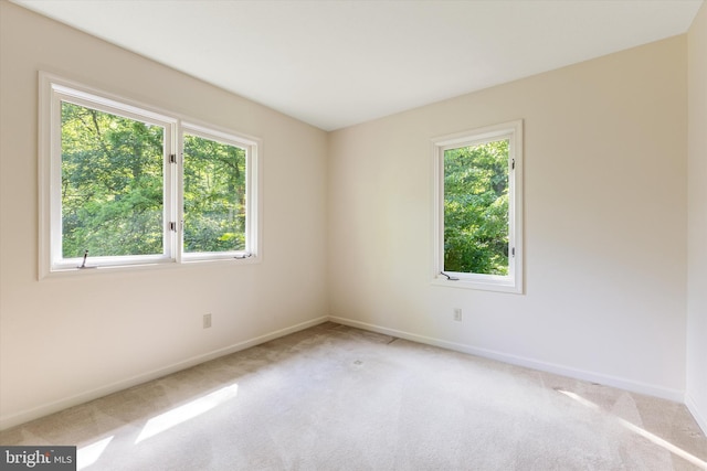 112 Old Forest Cir, Winchester, VA 22602 - spare room featuring carpet flooring and baseboards