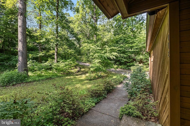 112 Old Forest Cir, Winchester, VA 22602 - view of yard featuring a view of trees