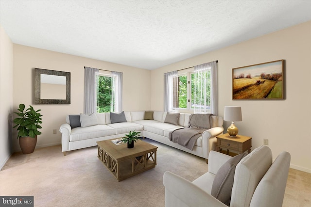 112 Old Forest Cir, Winchester, VA 22602 - living room with light carpet, baseboards, and a textured ceiling