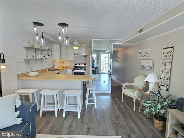 17 143rd St Unit 302, Ocean City, MD 21842 - kitchen featuring a textured ceiling, a sink, a peninsula, open shelves, and wood finished floors