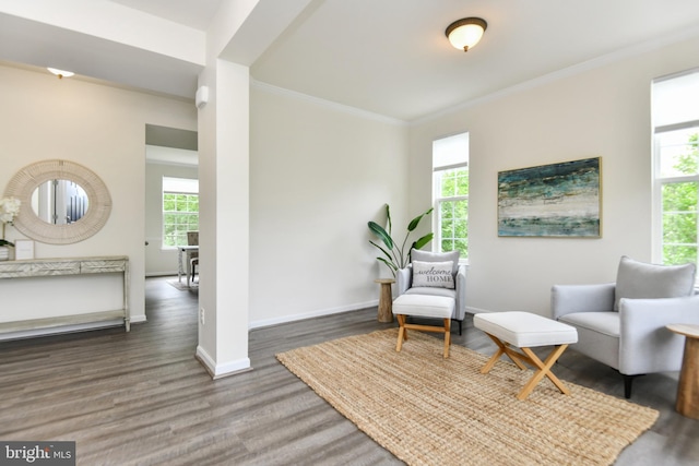 living area featuring ornamental molding, wood finished floors, and baseboards