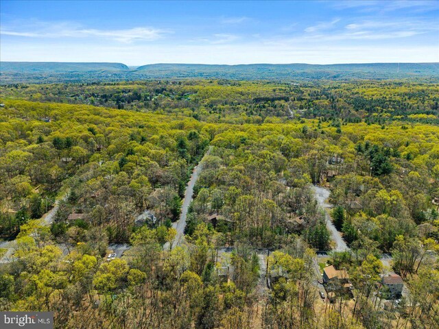 249 Hyland Dr, East Stroudsburg, PA 18301 - bird's eye view with a view of trees
