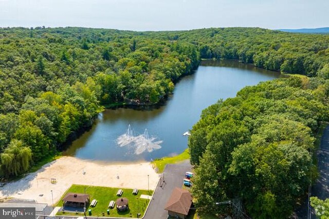 249 Hyland Dr, East Stroudsburg, PA 18301 - drone / aerial view with a water view and a view of trees