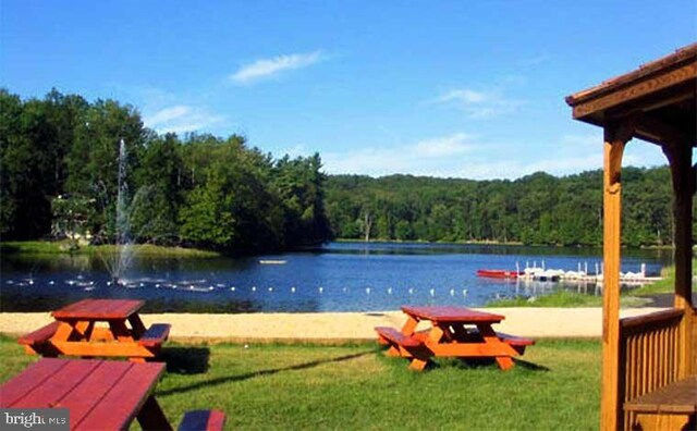 249 Hyland Dr, East Stroudsburg, PA 18301 - view of home's community featuring a yard, a water view, and a forest view