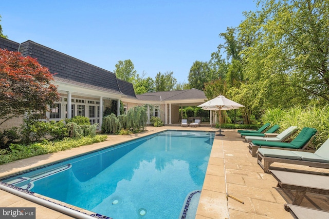 1129 Delaplane Grade Rd, Upperville, VA 20184 - outdoor pool with a patio area