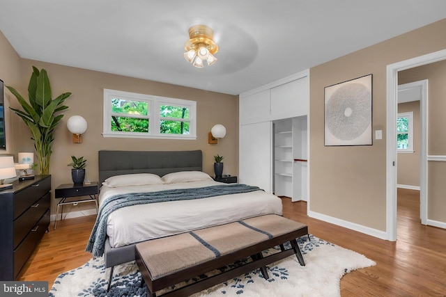 bedroom featuring a closet, multiple windows, and light wood-style floors