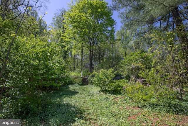 2957 River Rd, New Hope, PA 18938 - view of local wilderness with a wooded view