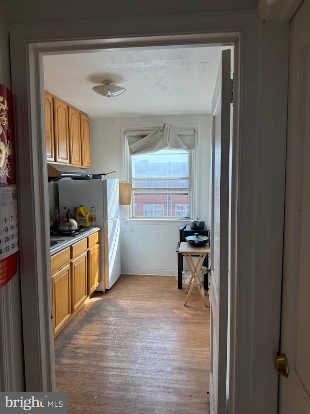 kitchen featuring freestanding refrigerator and wood finished floors