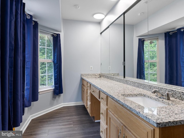 bathroom featuring plenty of natural light, wood finished floors, and a sink