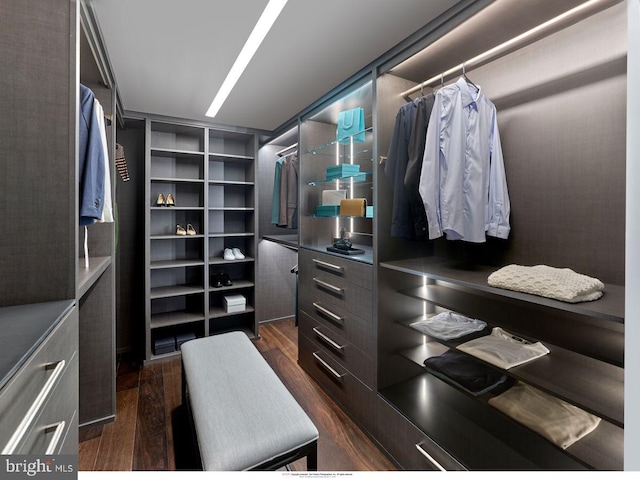 spacious closet featuring dark wood-style floors