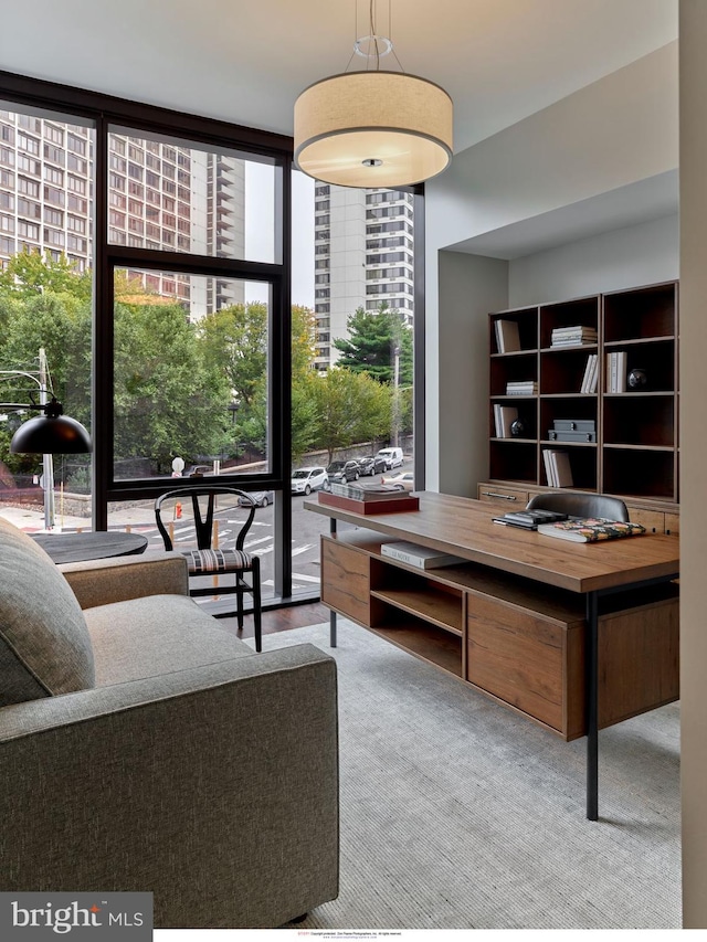 office area with a wall of windows