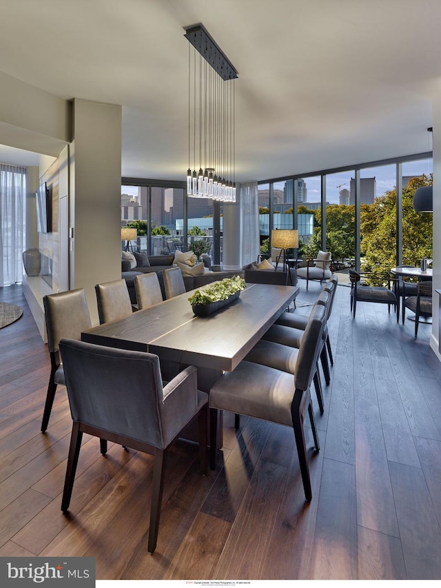 dining room with dark wood-type flooring, a healthy amount of sunlight, and floor to ceiling windows