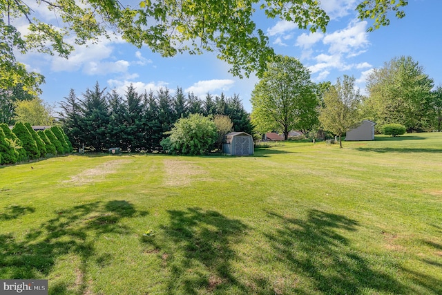 view of yard with a storage shed and an outbuilding