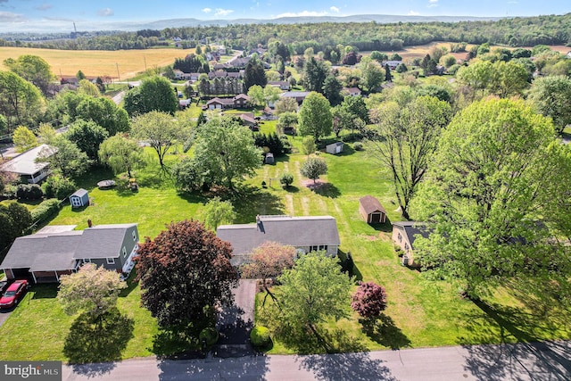 aerial view