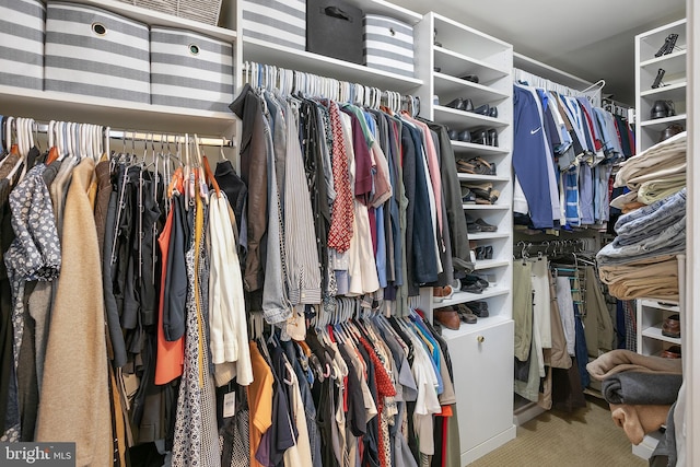 6018 Good Lion Ct, Alexandria, VA 22315 - spacious closet with carpet floors