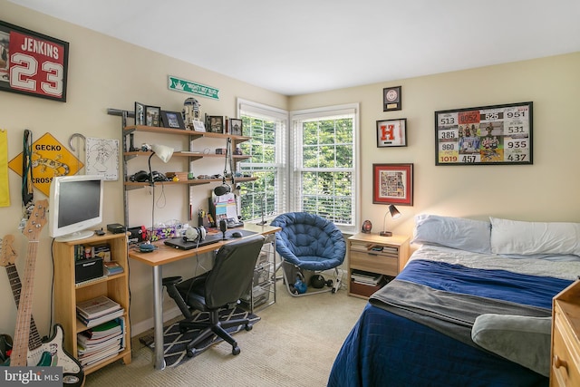 6018 Good Lion Ct, Alexandria, VA 22315 - bedroom featuring carpet floors and a desk